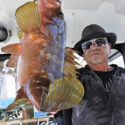 Fisherman Dreams DI 釣果