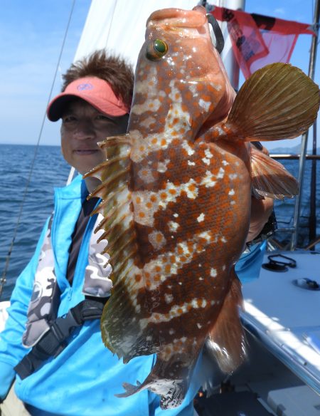 Fisherman Dreams DI 釣果