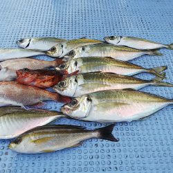 第二常豊丸 釣果