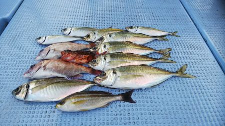 第二常豊丸 釣果