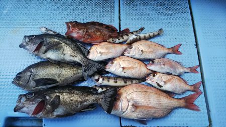 第二常豊丸 釣果