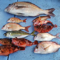 第二常豊丸 釣果