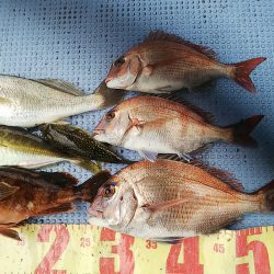 第二常豊丸 釣果