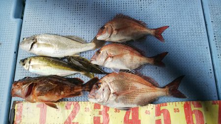 第二常豊丸 釣果