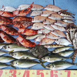 第二常豊丸 釣果