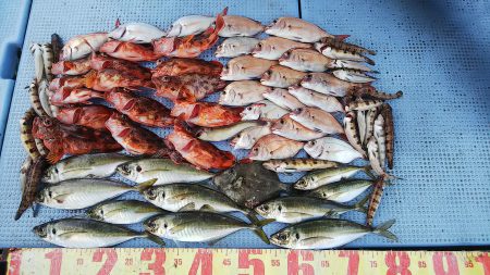 第二常豊丸 釣果