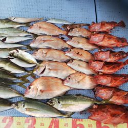 第二常豊丸 釣果