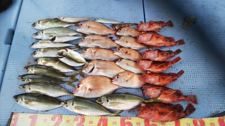 第二常豊丸 釣果