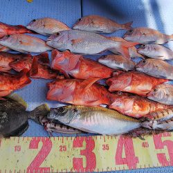 第二常豊丸 釣果