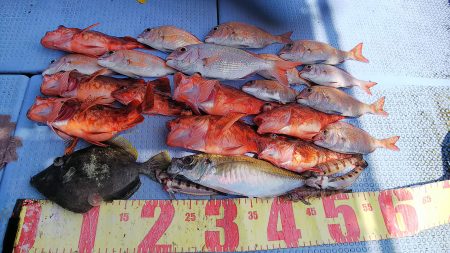 第二常豊丸 釣果