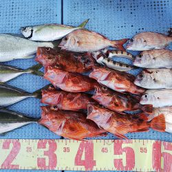 第二常豊丸 釣果