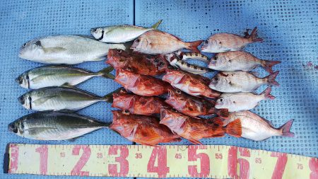 第二常豊丸 釣果