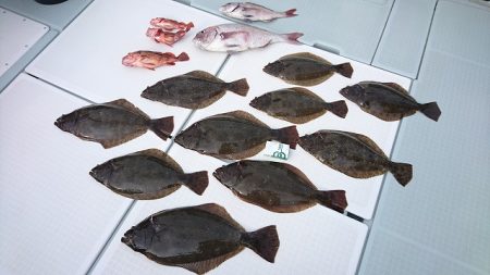 フィッシングボートACE(エース) 釣果