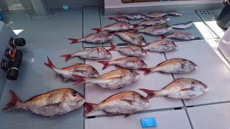 フィッシングボートACE（エース） 釣果