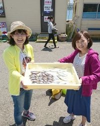 和歌山マリーナシティ釣り公園 釣果