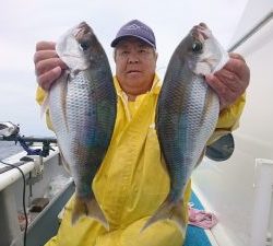 舵丸 釣果