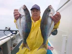 舵丸 釣果