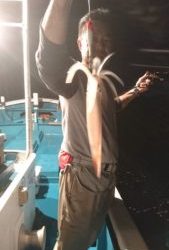 愛海丸 釣果
