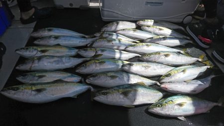 武士(SAMURAI) 釣果