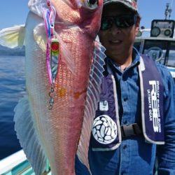 シードリーム 釣果