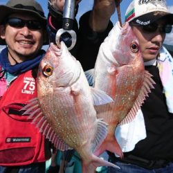 シードリーム 釣果