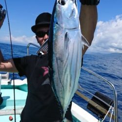 シードリーム 釣果