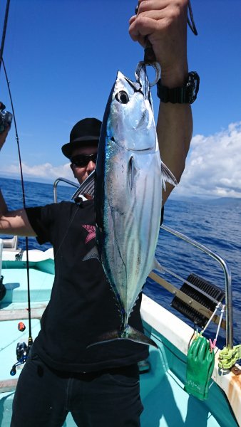 シードリーム 釣果