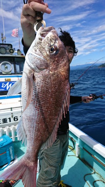 シードリーム 釣果