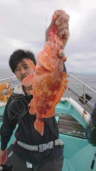 シードリーム 釣果