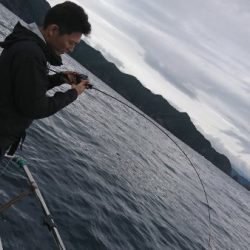 シードリーム 釣果