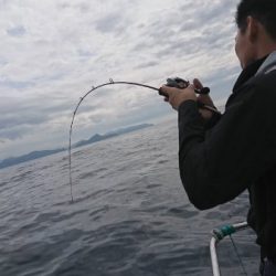 シードリーム 釣果