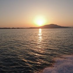 フィッシングボートACE(エース) 釣果