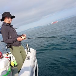 フィッシングボートACE(エース) 釣果