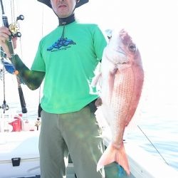 フィッシングボートACE(エース) 釣果