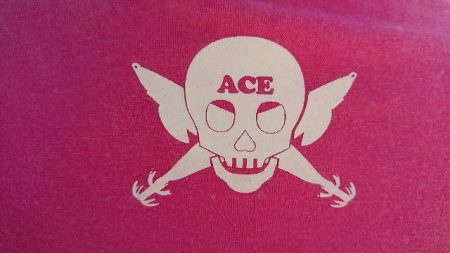 フィッシングボートACE(エース) 釣果