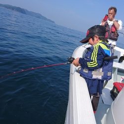 フィッシングボートACE(エース) 釣果