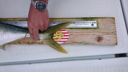 フィッシングボートACE（エース） 釣果