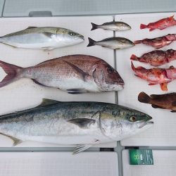 フィッシングボートACE（エース） 釣果