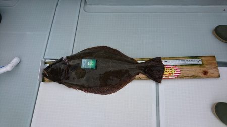 フィッシングボートACE(エース) 釣果