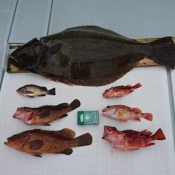 フィッシングボートACE(エース) 釣果