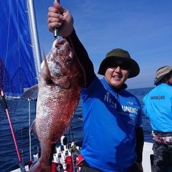 フィッシングボートACE(エース) 釣果