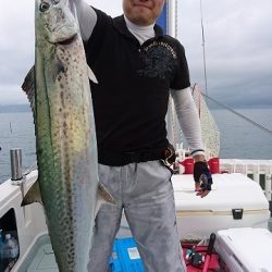 フィッシングボートACE（エース） 釣果