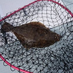 フィッシングボートACE（エース） 釣果