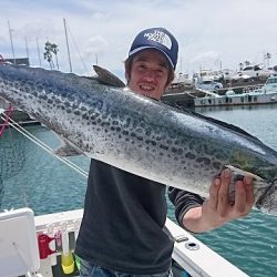 フィッシングボートACE（エース） 釣果