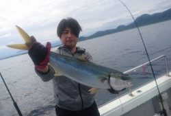 ブルーズ 釣果