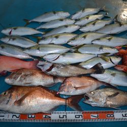 アジアマリンサービス 釣果