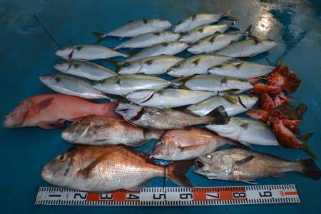 アジアマリンサービス 釣果