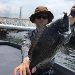 シーマジカル 釣果