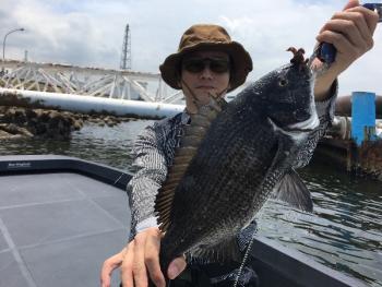 シーマジカル 釣果