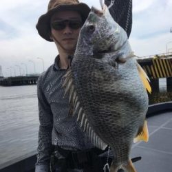 シーマジカル 釣果